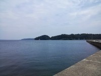 /album/%e3%83%95%e3%82%a9%e3%83%88%e3%82%ae%e3%83%a3%e3%83%a9%e3%83%aa%e3%83%bc/cam00246-2-jpg/