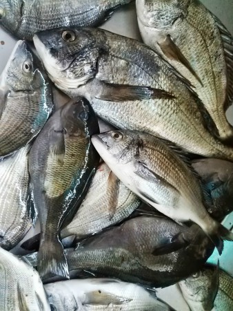 これまたあと50には２cm不足！