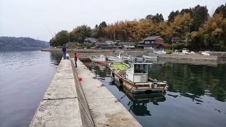 この内側で野生イルカが大ジャンプ！腰抜かした（笑）